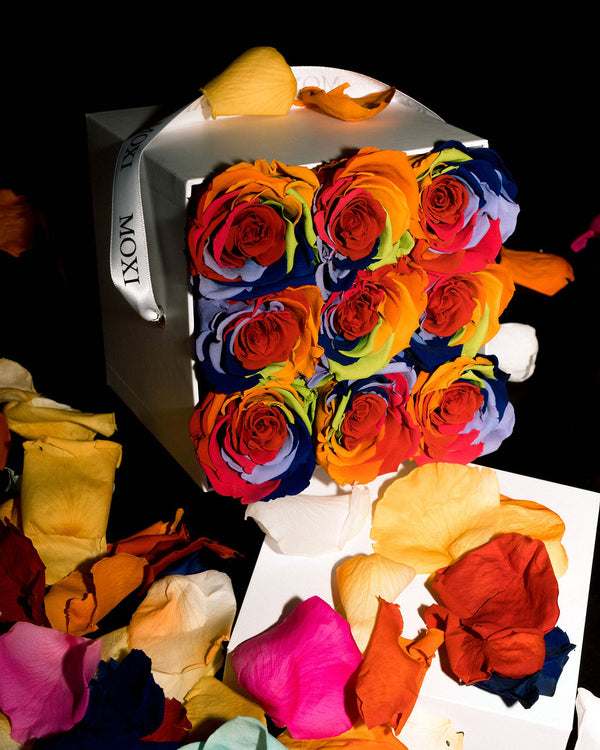 9 Rose - Classic Collection