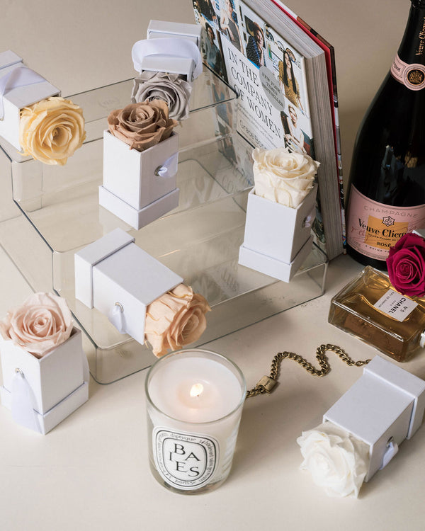 Single Rose - Classic Collection